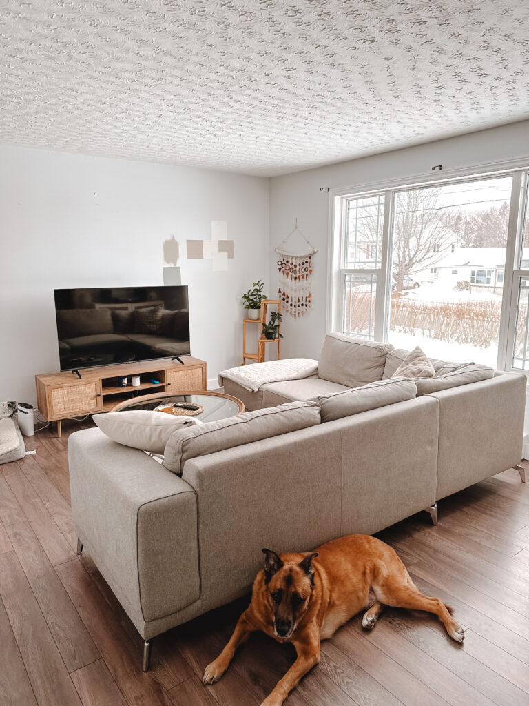 before and after modern organic living room