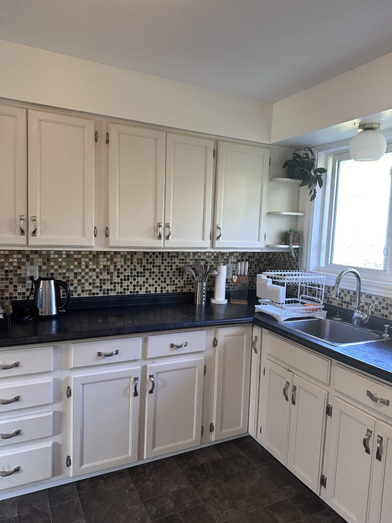hidden hinges for kitchen cabinets