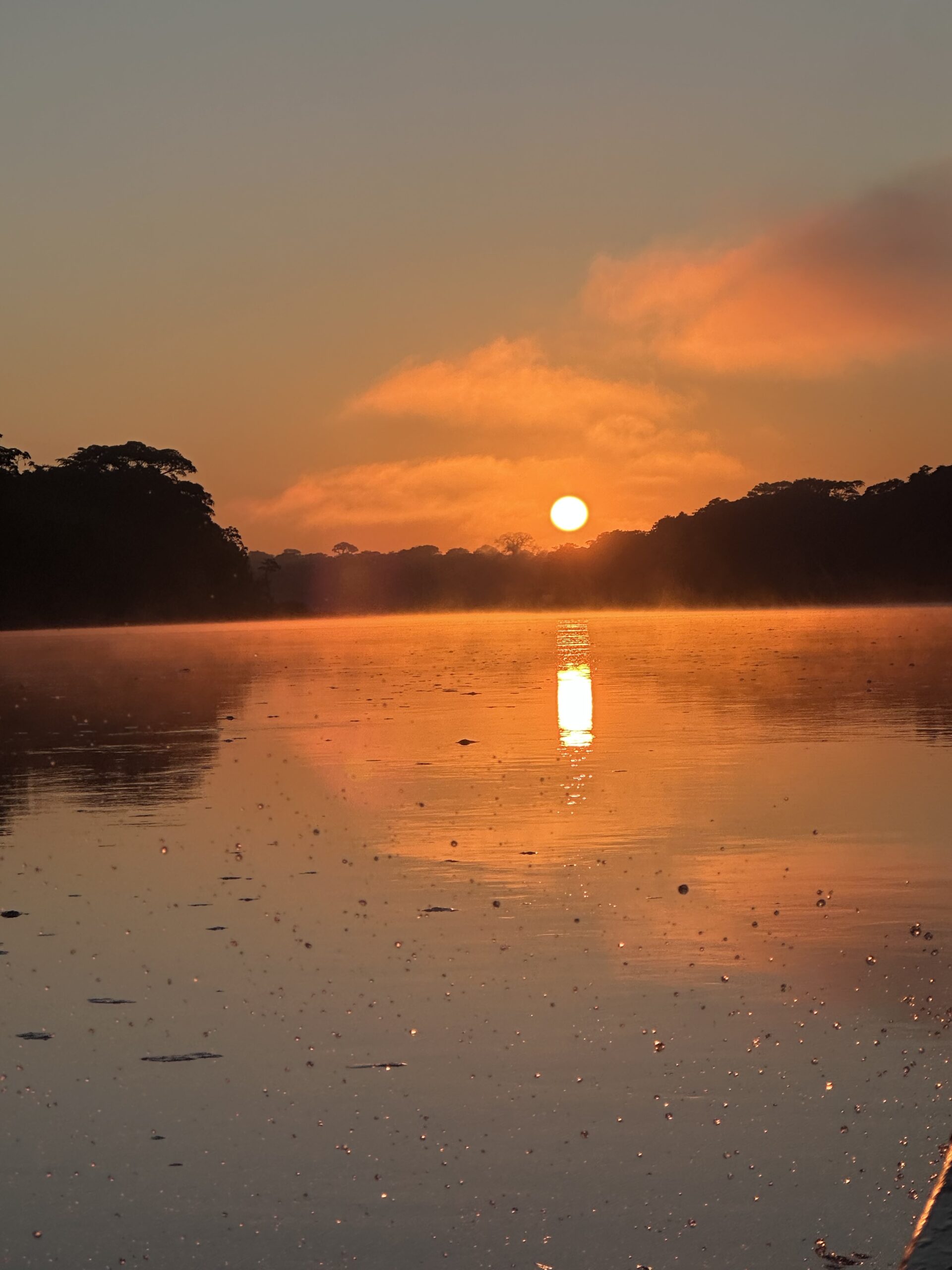 amazon rainforest peru
