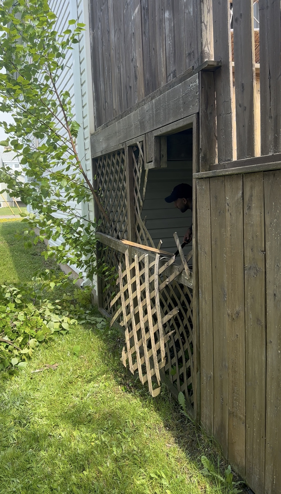backyard makeover