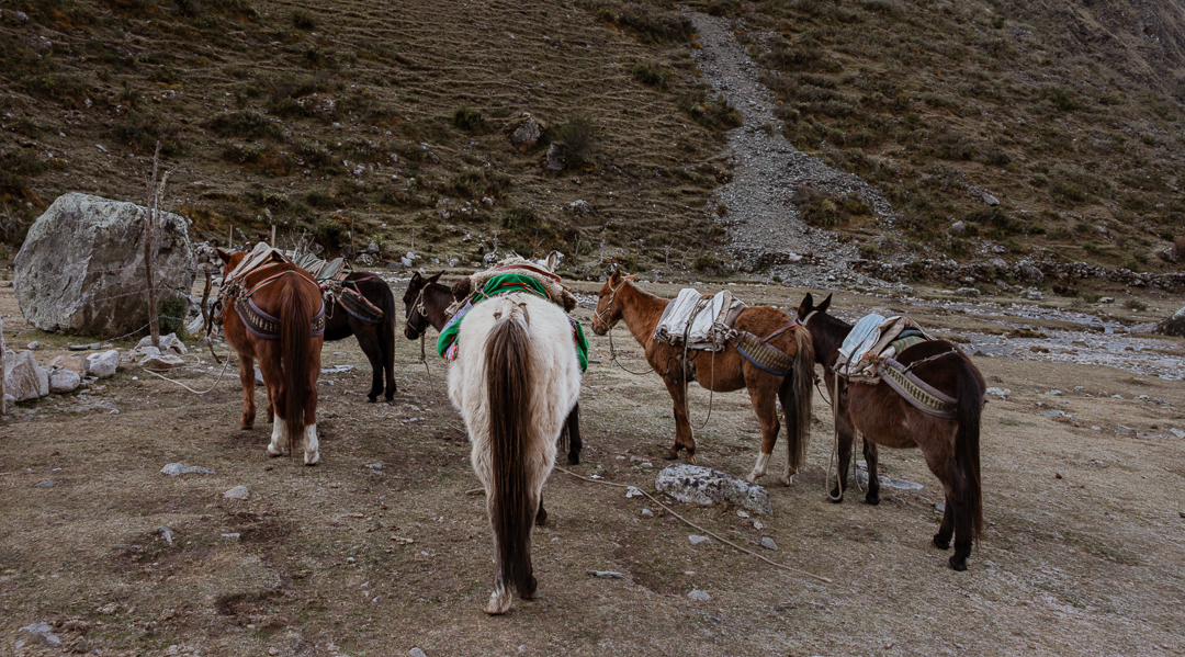 Inca trail vs Salkantay Trek