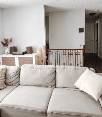 before and after of modern organic living room