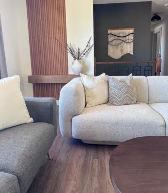 modern living room style, modern organic living room