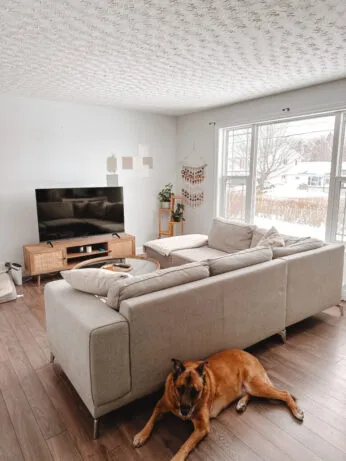 before and after modern organic living room