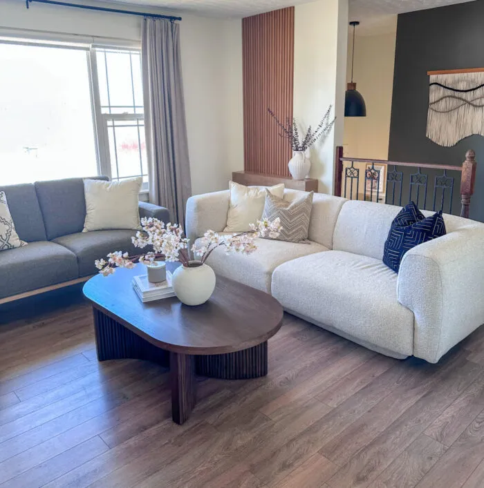 modern organic living room, modern living room, living room furniture