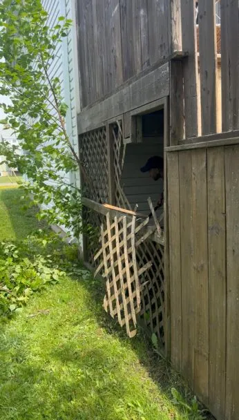 backyard makeover