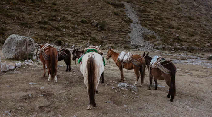 Inca trail vs Salkantay Trek