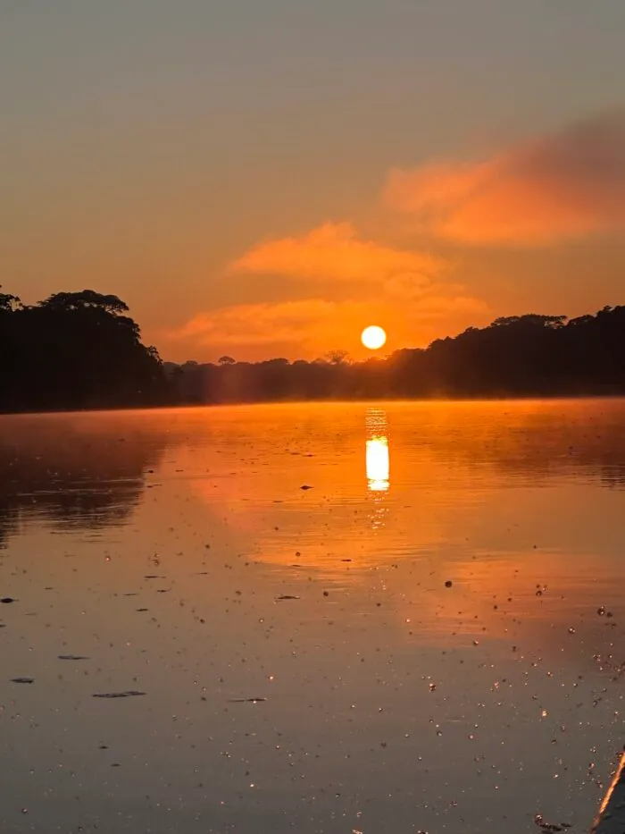 amazon rainforest peru